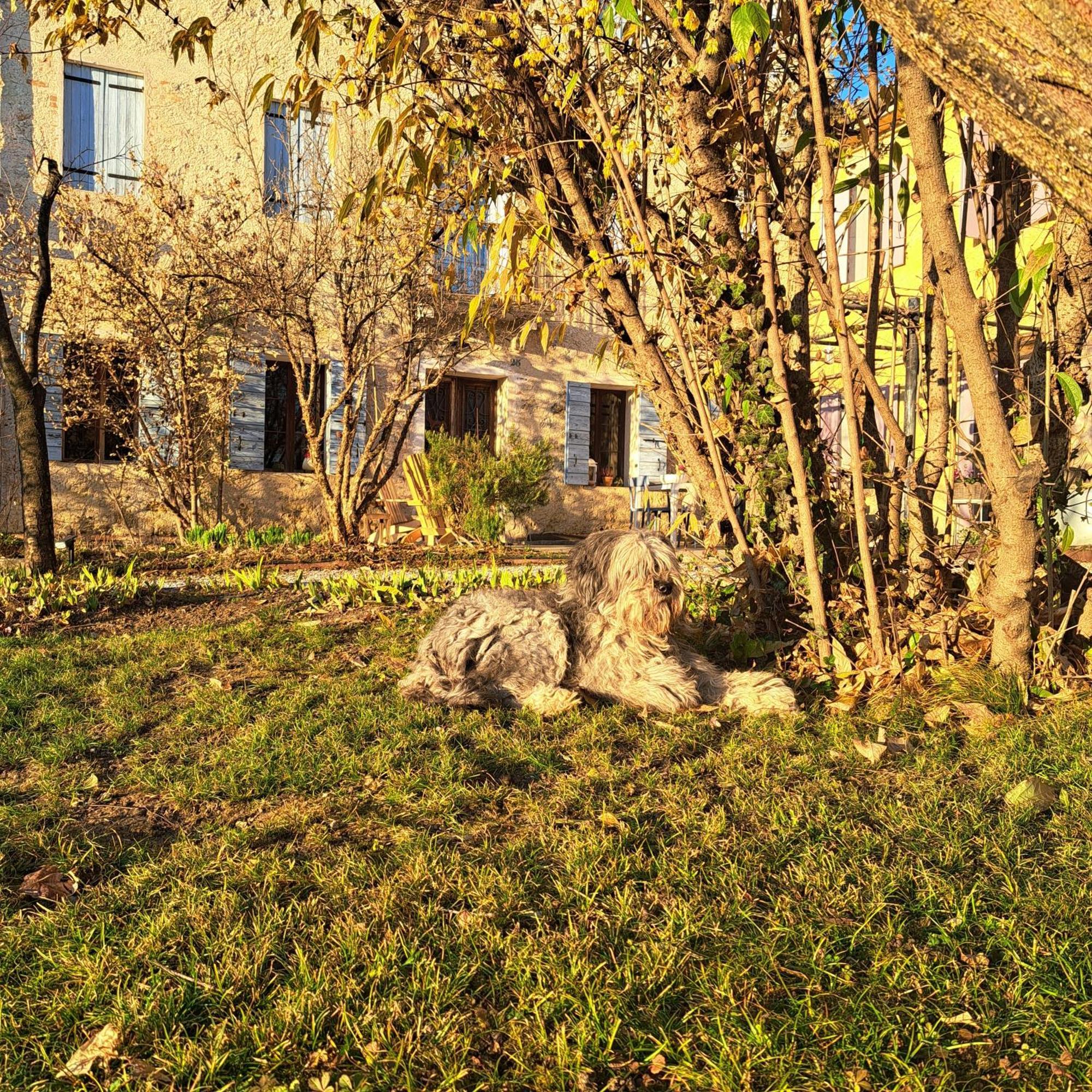 Casadesergio Refrontolo Экстерьер фото