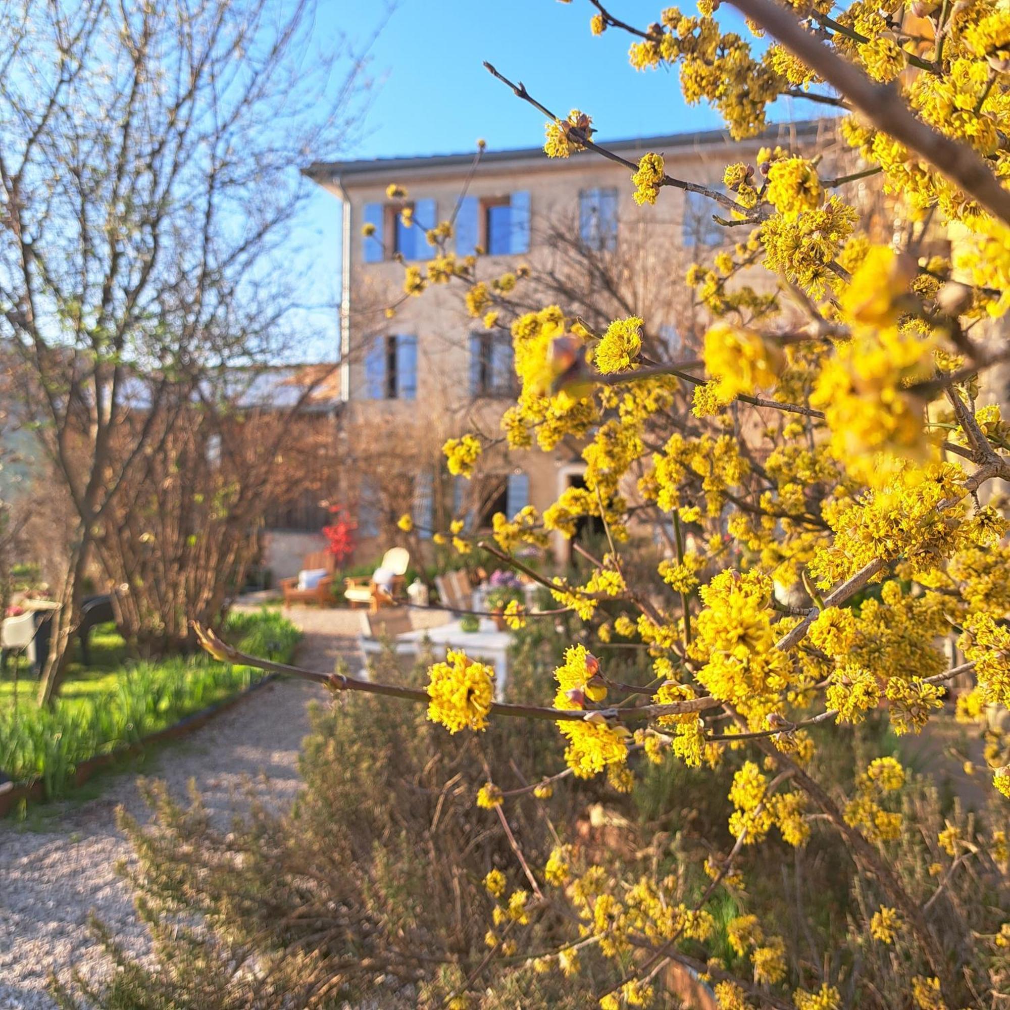 Casadesergio Refrontolo Экстерьер фото