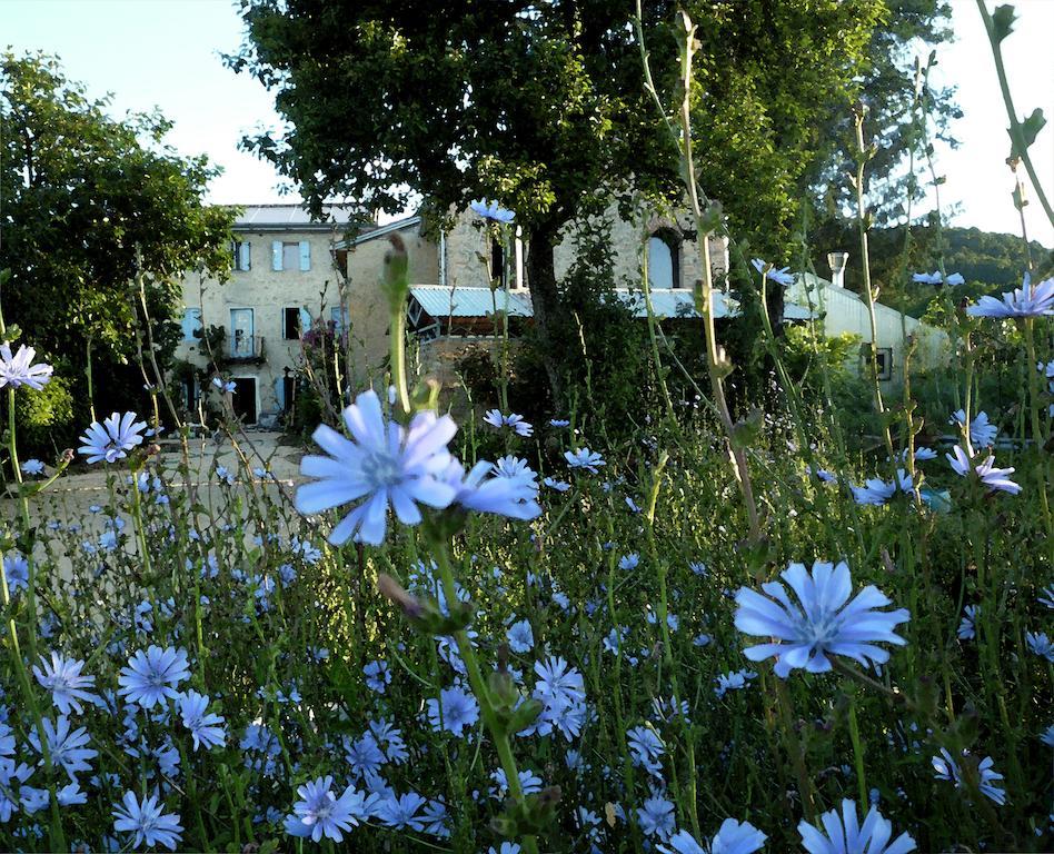 Casadesergio Refrontolo Экстерьер фото